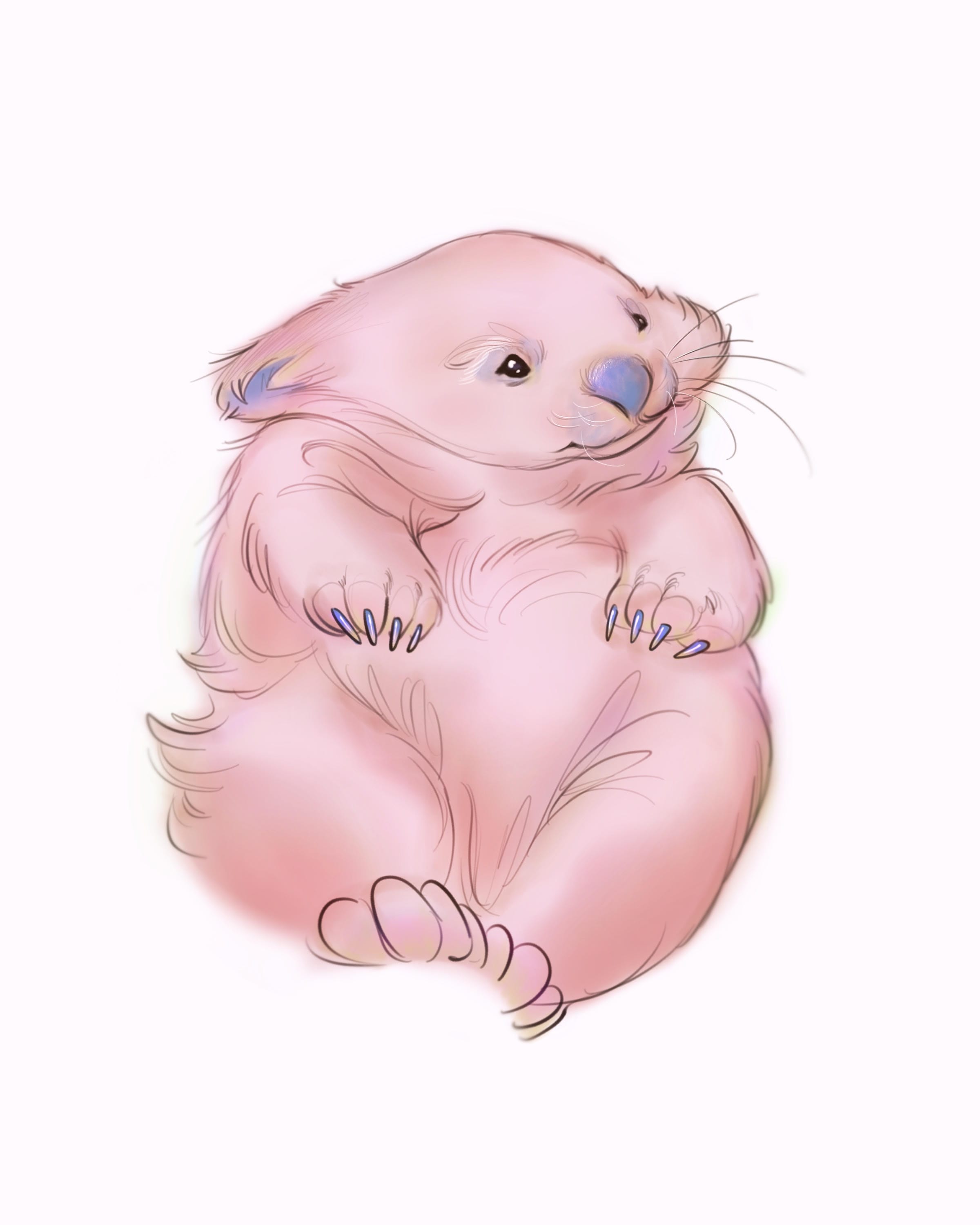 pink wombat