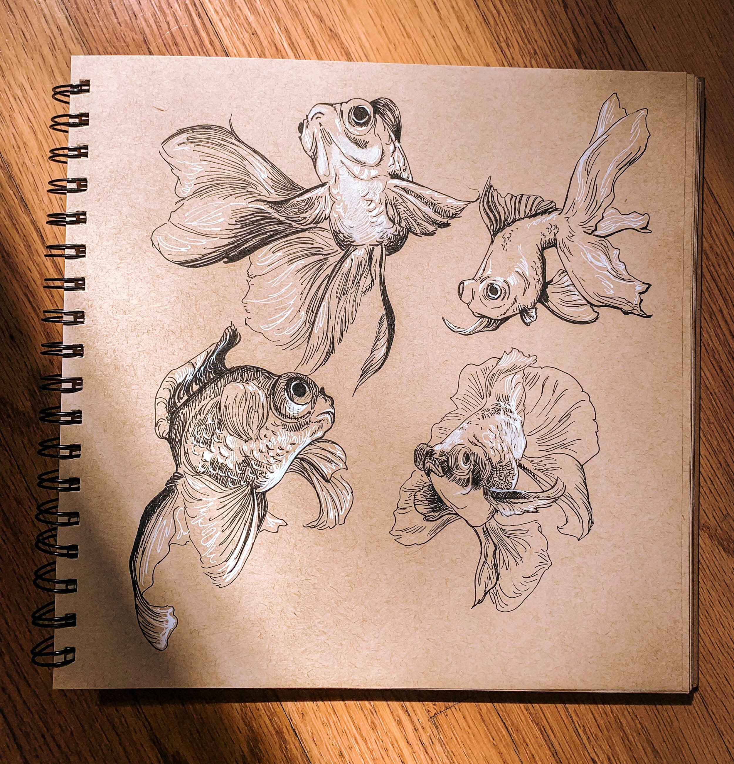 sketches of gold fish